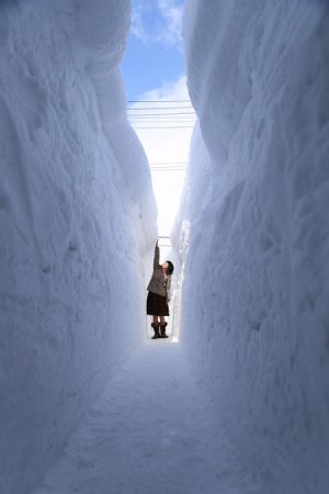 日本中が雪に見舞われた三八豪雪～大寒波が到来した昭和38年の異常
