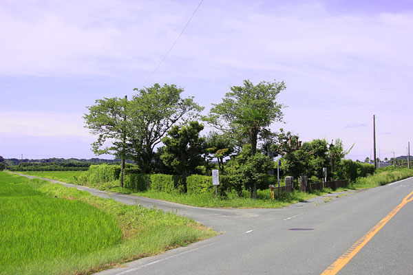 堀川城の戦いで家康が住民を虐殺 気賀攻めは臨済宗の一揆を恐れたから Bushoo Japan 武将ジャパン