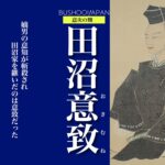 田沼意致