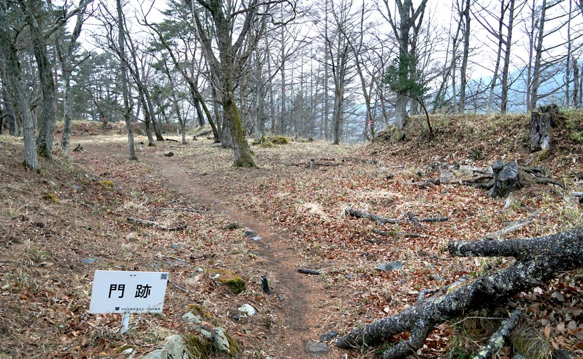 要害城（要害山城・丸山城）