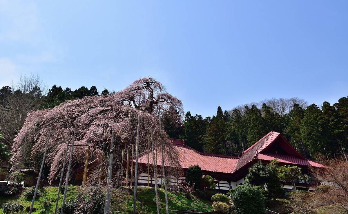 慈徳寺